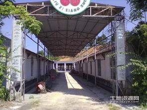 良口镇250亩农产综合体整体承接 果园鱼塘添活力，加工厂房助腾飞