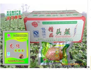 从田间到舌尖 自贡市泰福农副产品加工厂的品质之旅