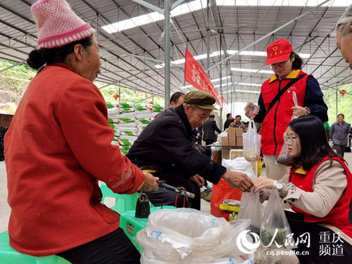 国网重庆电力助脱贫 将帮扶工作落到实处，农副产品点亮新生活