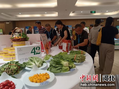 张家口农副产品加工企业及农产品展销会在京成功举办