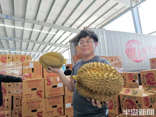 白菜车卖榴莲 有人赚得宝马，有人赔进千万——榴莲为何惹人“留恋”？